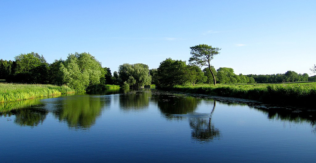En å med stilla vatten, grönskande natur runt omkring och blå himmel.