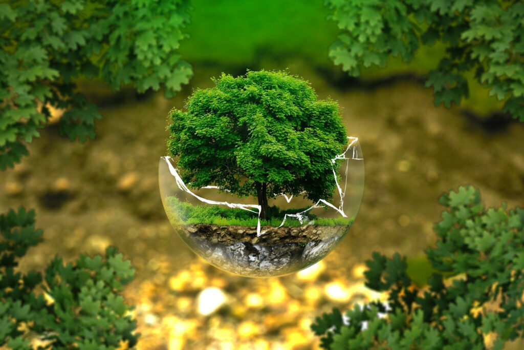 Ett grönt träd inuti en trasig glaskula, med gröna blad runtom.