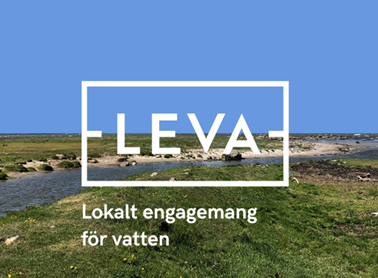 Logotypen för LEVA-projektet, med ett vattendrag, grönt gräs och blå himmel i bakgrunden.